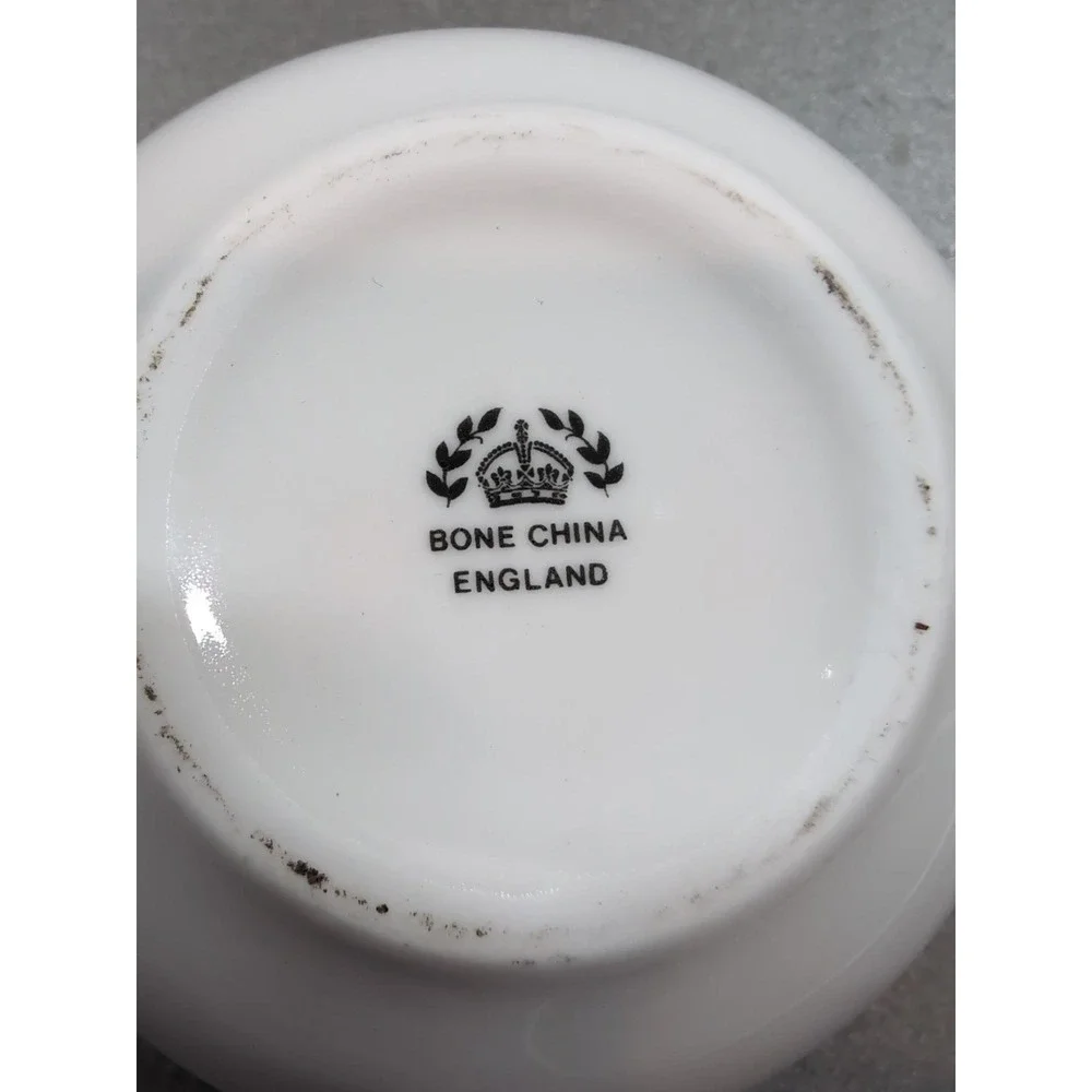English Bone China Tea for One Set Yorkshire Terrier Yorkie & Kittens Gold Trim